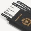 Siyah erkek pasaportlu telefon kılıfı Siyah erkek pasaportlu telefon kılıfı